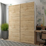 Шкаф купе G-Caiser 2 ДСП / 3 части дуб евок 180х60х240